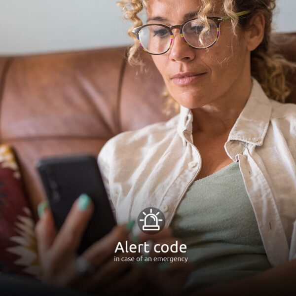 Smart Wi-Fi door lock